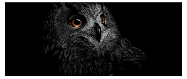 Slika - Sova, ilustr (120x50 cm)