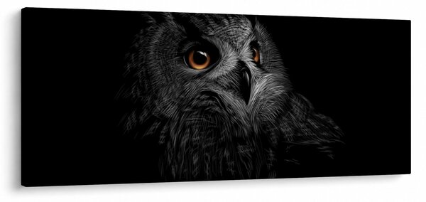 Slika - Sova, ilustr (120x50 cm)