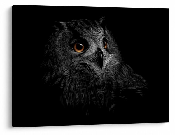 Slika - Sova, ilustr (70x50 cm)