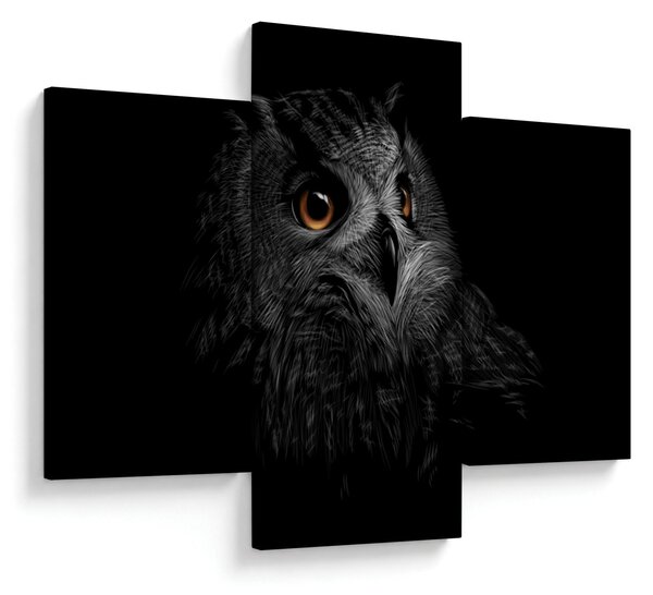 Slika - Sova, ilustr (90x60 cm)