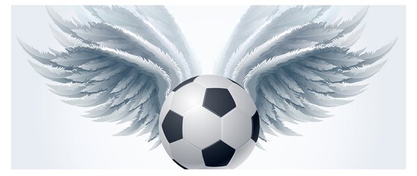 Slika - Balon s krili (120x50 cm)