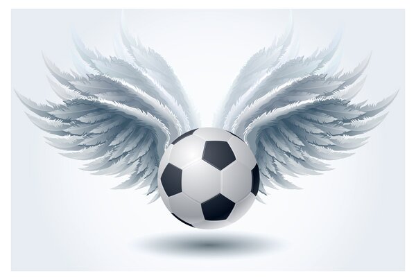 Slika - Balon s krili (90x60 cm)