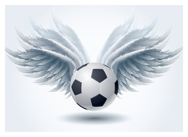 Slika - Balon s krili (70x50 cm)
