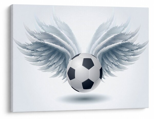 Slika - Balon s krili (70x50 cm)