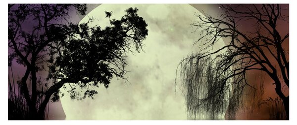 Slika - Polna luna nad površjem (120x50 cm)