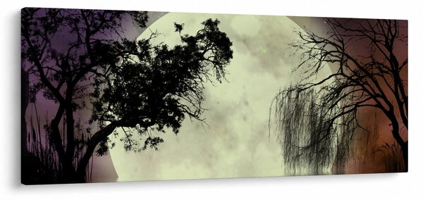 Slika - Polna luna nad površjem (120x50 cm)