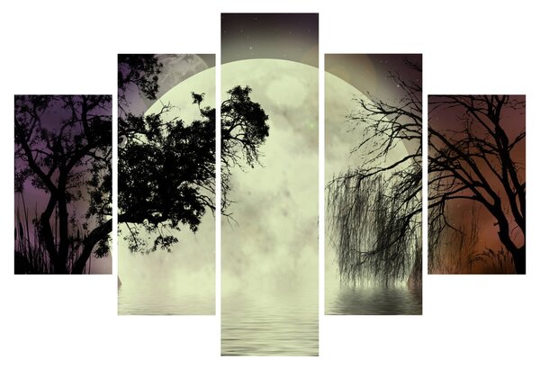 Slika - Polna luna nad površjem (150x105 cm)