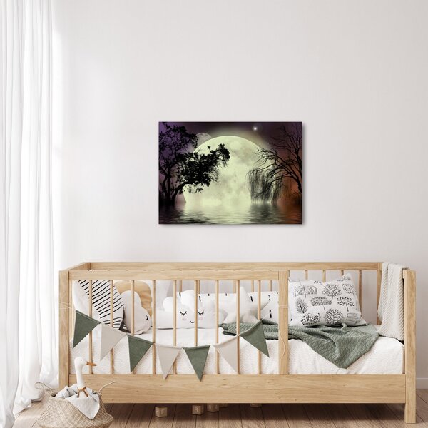 Slika - Polna luna nad površjem (70x50 cm)