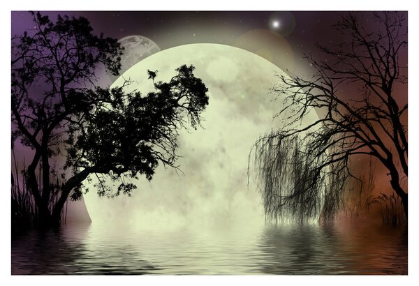 Slika - Polna luna nad površjem (90x60 cm)
