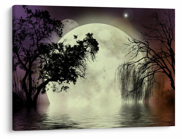 Slika - Polna luna nad površjem (70x50 cm)