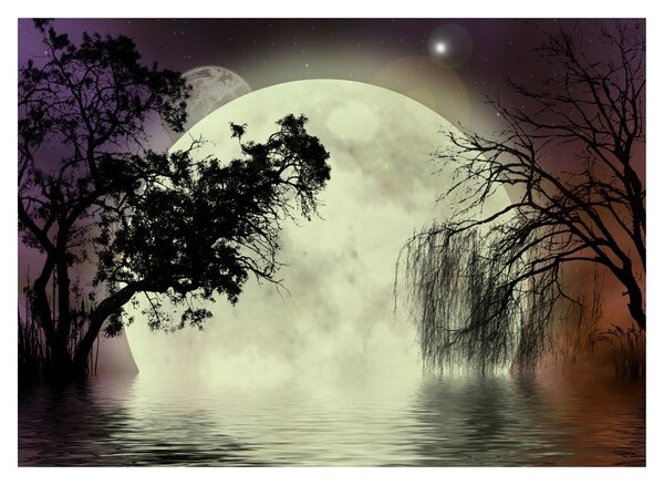 Slika - Polna luna nad površjem (70x50 cm)