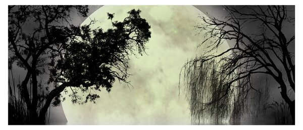 Slika - Polna luna nad površjem, črno-bela različica (120x50 cm)