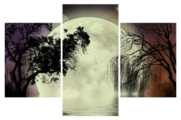 Slika - Polna luna nad površjem (90x60 cm)