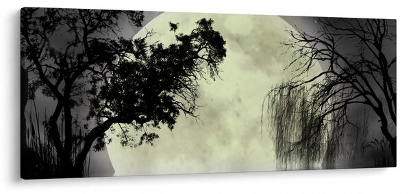 Slika - Polna luna nad površjem, črno-bela različica (120x50 cm)