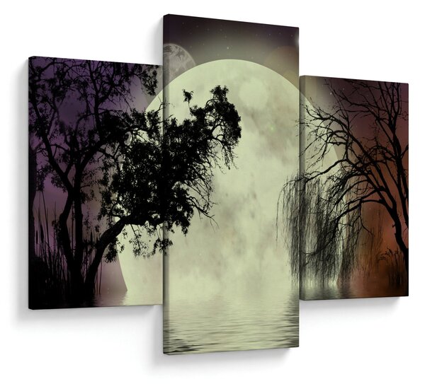 Slika - Polna luna nad površjem (90x60 cm)