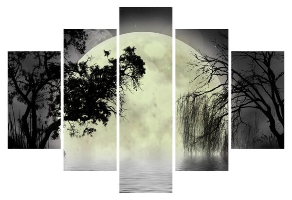 Slika - Polna luna nad površjem, črno-bela različica (150x105 cm)