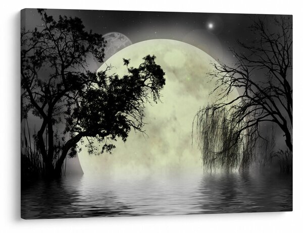 Slika - Polna luna nad površjem, črno-bela različica (70x50 cm)
