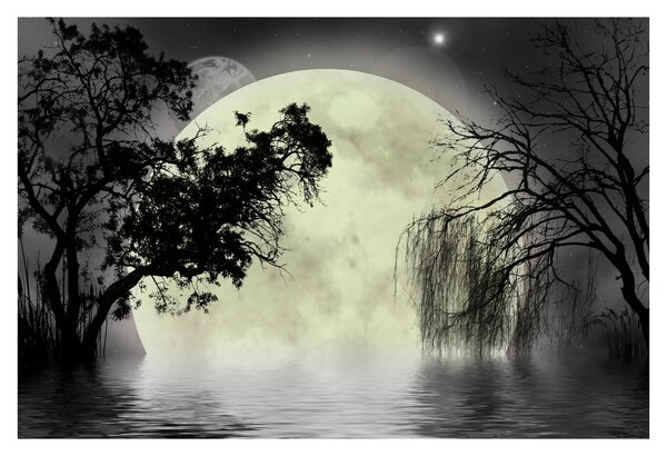 Slika - Polna luna nad površjem, črno-bela različica (90x60 cm)