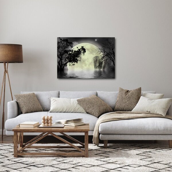 Slika - Polna luna nad površjem, črno-bela različica (70x50 cm)