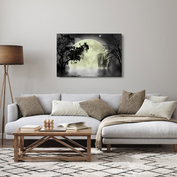 Slika - Polna luna nad površjem, črno-bela različica (90x60 cm)