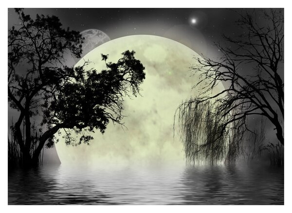 Slika - Polna luna nad površjem, črno-bela različica (70x50 cm)