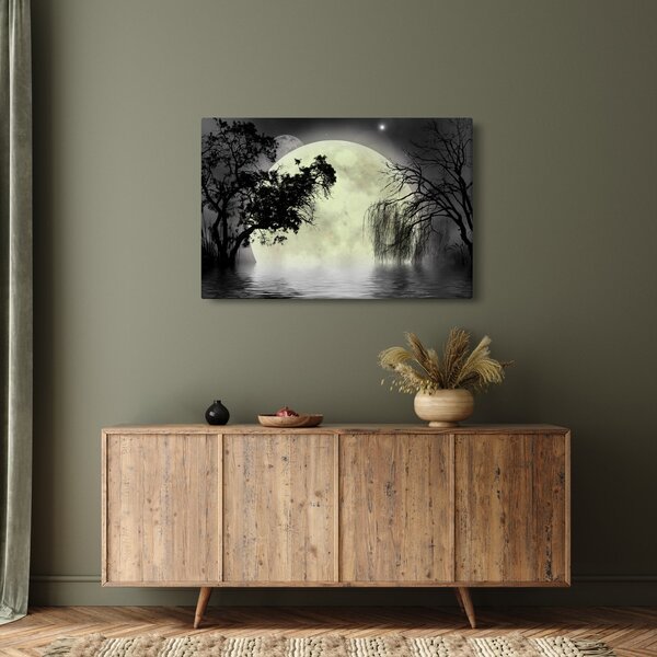 Slika - Polna luna nad površjem, črno-bela različica (90x60 cm)