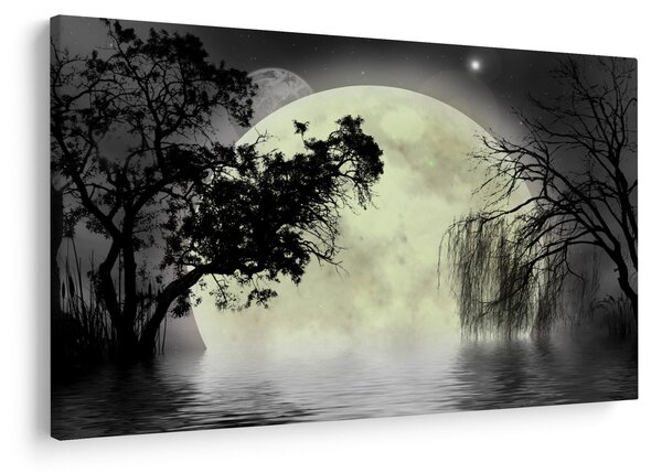Slika - Polna luna nad površjem, črno-bela različica (90x60 cm)