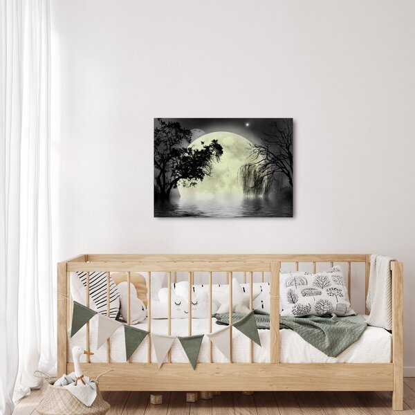 Slika - Polna luna nad površjem, črno-bela različica (70x50 cm)