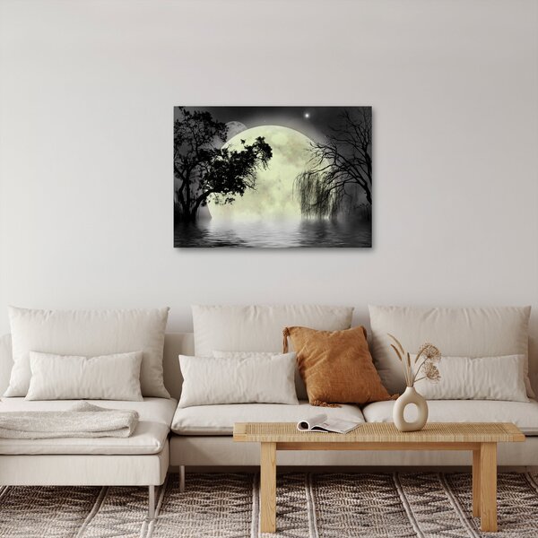 Slika - Polna luna nad površjem, črno-bela različica (70x50 cm)