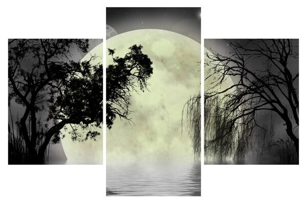 Slika - Polna luna nad površjem, črno-bela različica (90x60 cm)