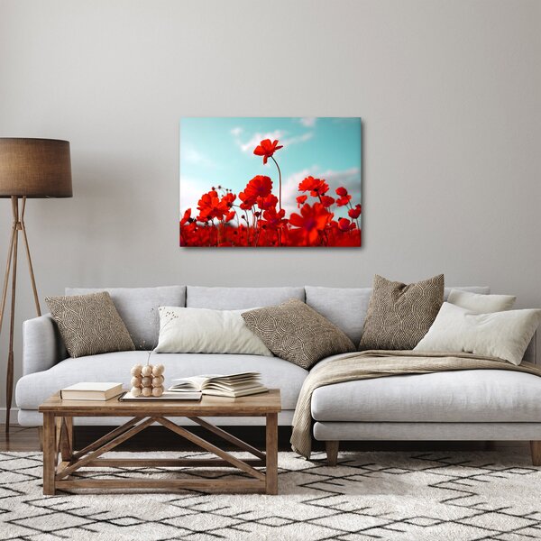 Slika polja s svetlo rdečimi cvetovi (70x50 cm)