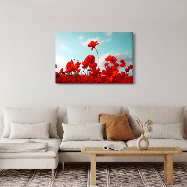 Slika polja s svetlo rdečimi cvetovi (90x60 cm)