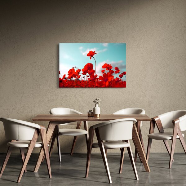 Slika polja s svetlo rdečimi cvetovi (90x60 cm)
