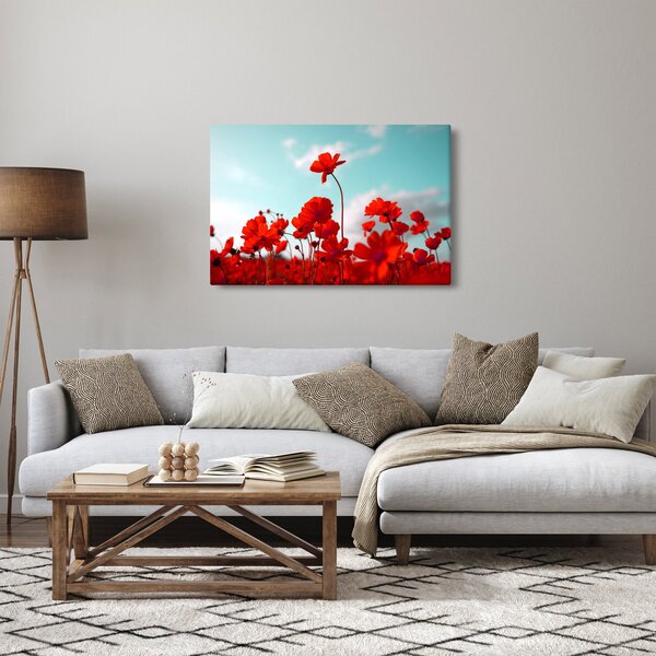 Slika polja s svetlo rdečimi cvetovi (90x60 cm)