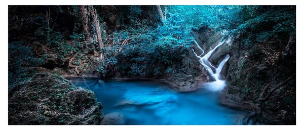 Slika - Čarobna noč v tropskem gozdu (120x50 cm)