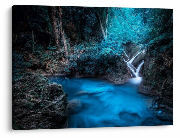 Slika - Čarobna noč v tropskem gozdu (70x50 cm)