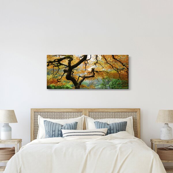 Slika rumenega japonskega javorja, Portland, Oregon (120x50 cm)