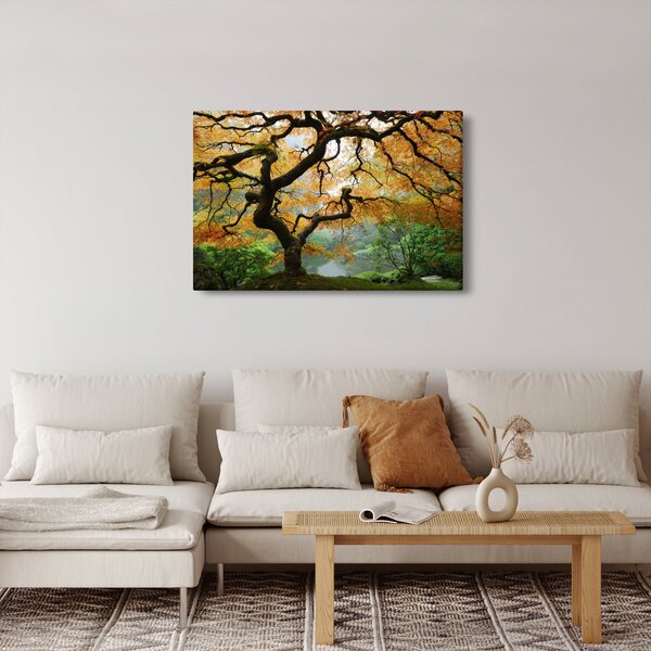 Slika rumenega japonskega javorja, Portland, Oregon (90x60 cm)