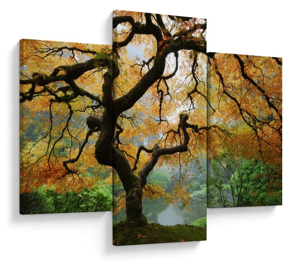 Slika rumenega japonskega javorja, Portland, Oregon (90x60 cm)