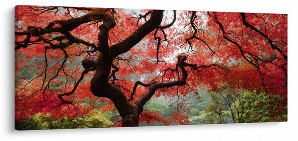 Slika rdečega japonskega javorja, Portland, Oregon (120x50 cm)