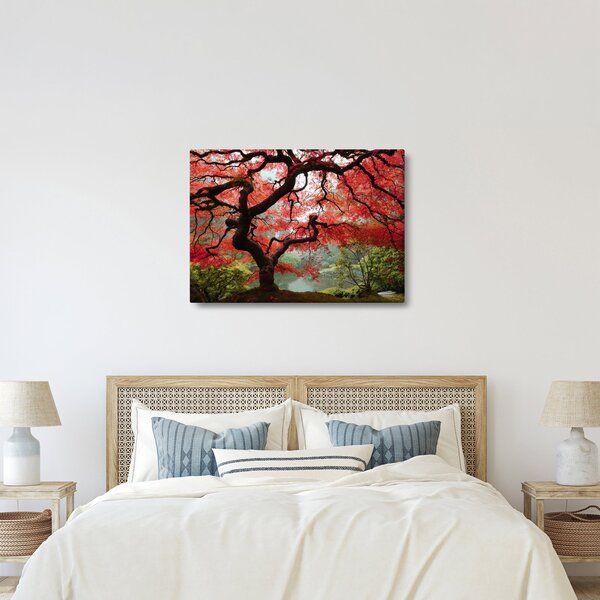 Slika rdečega japonskega javorja, Portland, Oregon (70x50 cm)
