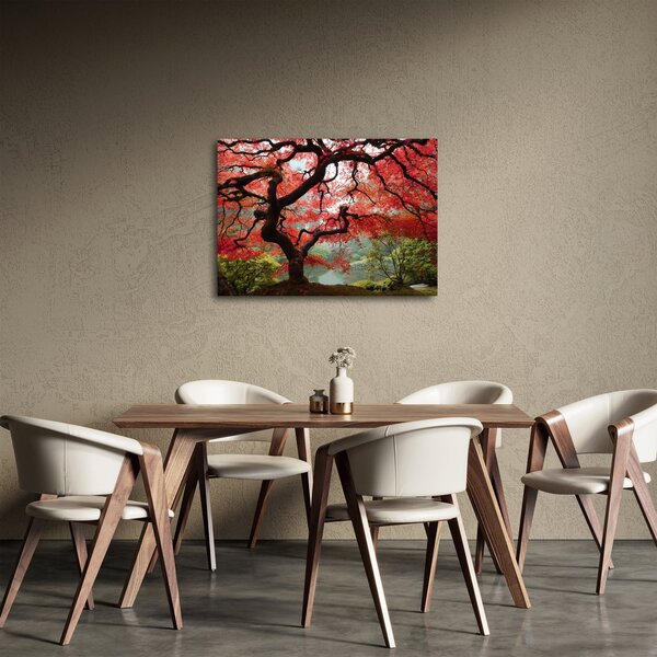 Slika rdečega japonskega javorja, Portland, Oregon (70x50 cm)