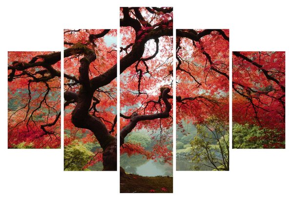 Slika rdečega japonskega javorja, Portland, Oregon (150x105 cm)