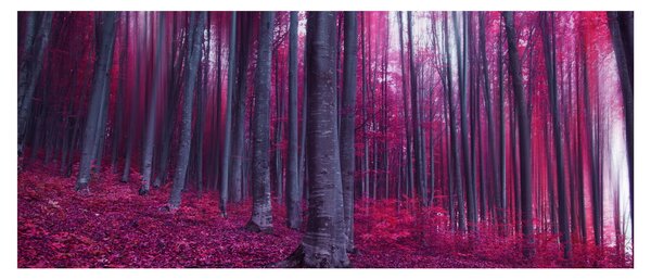 Slika roza gozda (120x50 cm)