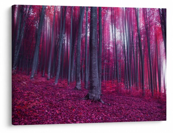 Slika roza gozda (70x50 cm)