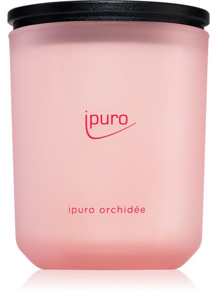 Ípuro Classic Orchidée mirisna svijeća 270 g