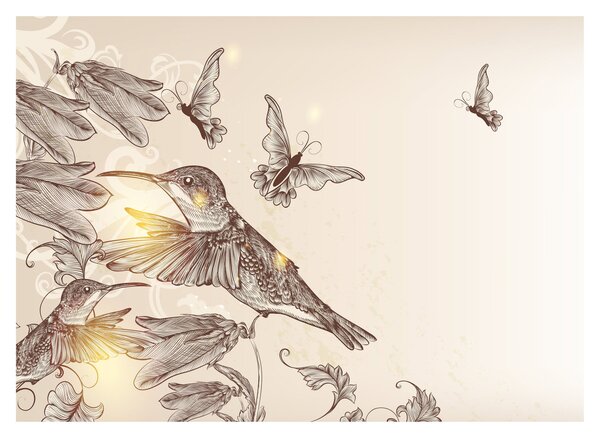 Slika - Kolibri (70x50 cm)