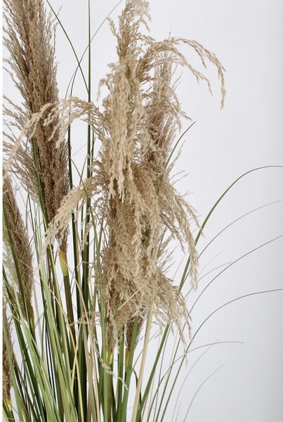 Umjetna biljka (visina 145 cm) Austorderia – Bizzotto