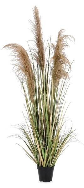 Umjetna biljka (visina 145 cm) Austorderia – Bizzotto