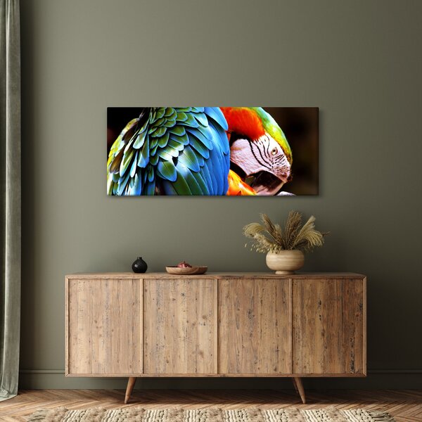 Slika - Papiga (120x50 cm)
